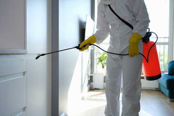 Best Certified Mold Removal  in Westfield, PA
