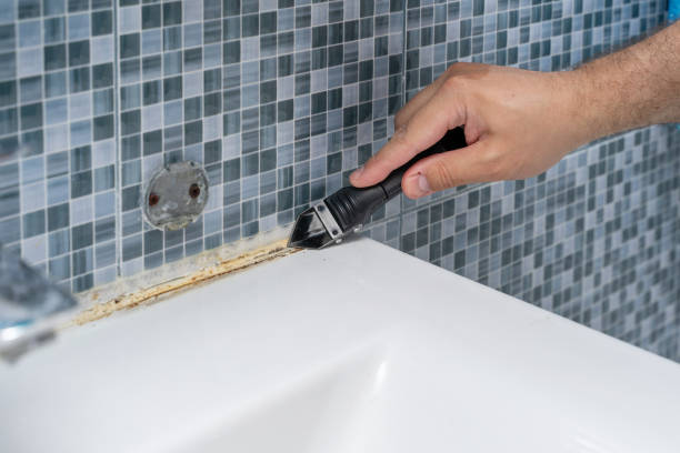 Best Mold Remediation  in Westfield, PA